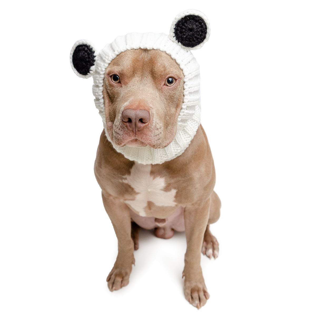 Zoo Snoods Panda Costume for Dogs- Warm No Flap Ear Wrap Hood for Pets, Kungfu Panda Dog Outfit for Winters, Halloween, Christma