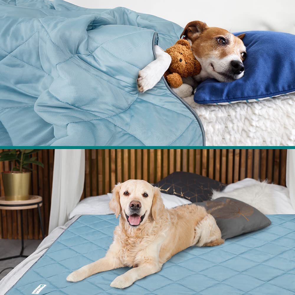Petami Premium Cooling Dog Blanket | Lightweight Fluffy Pet Throw Blanket Bed Cover For Dogs, Cat, Puppies | Pet Blanket Furniture Protector Couch Sofa | Reversible Fuzzy Cozy | 40X60, Dusty Blue