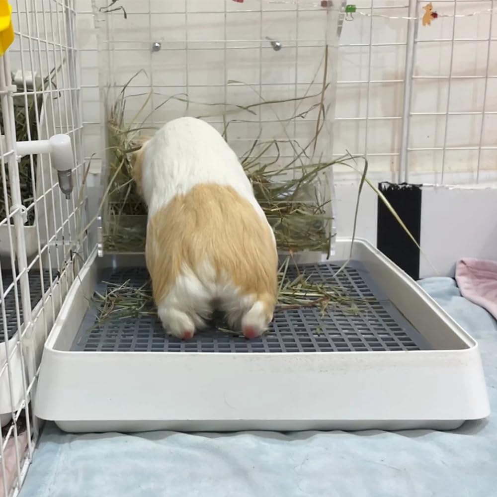 Podoo Rabbit Large Litter Box, Guinea Pig Training Pan Cage With Toilet Tray, Ideal For Rats, Ferret, Bunny Small And Medium Ani