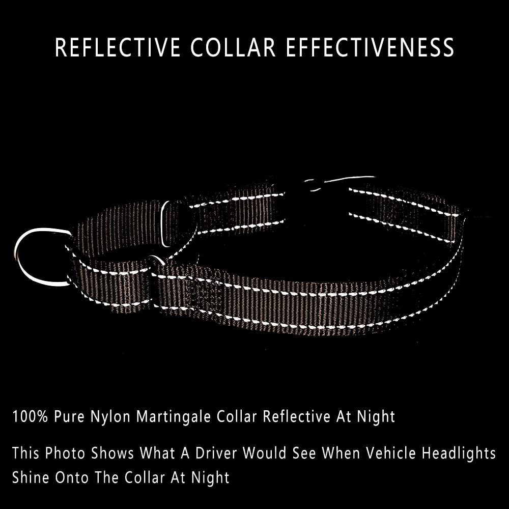 Plutus Pet Reflective Martingale Collar With Quick Snap Buckle,No Pull Dog Choker Collar For Small Medium Large Dogs,Xs,Black