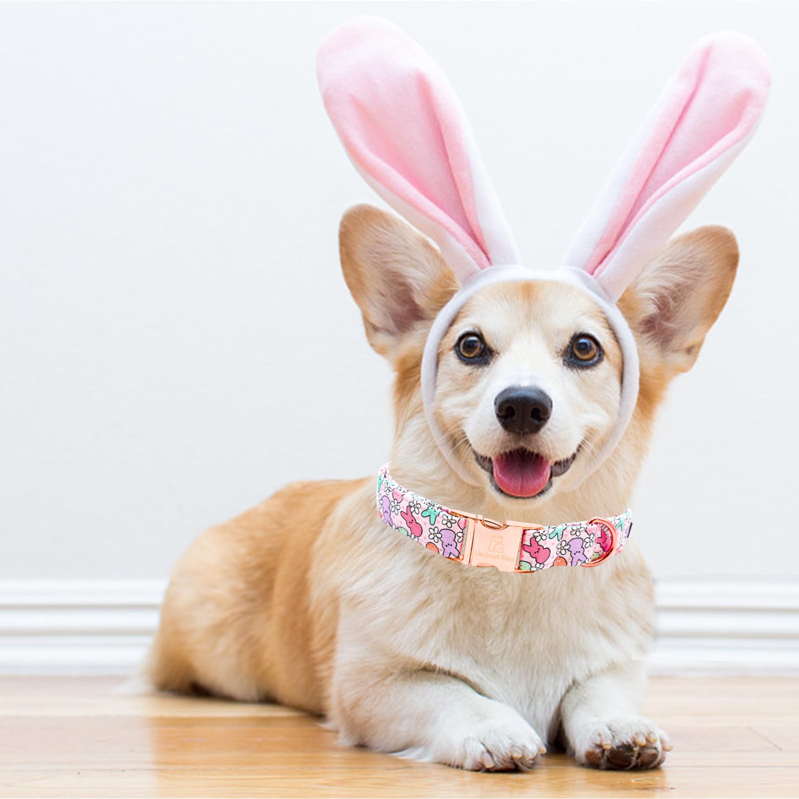 Lionheart Glory Easter Dog Collar Colorful Collar For Small Dog Collars Rabbits Print Dog Collars Spring Female Or Male Pet Gift