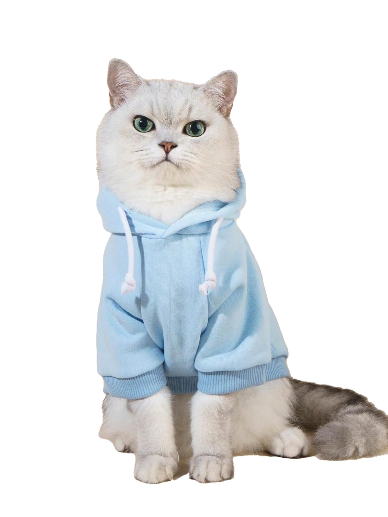 Qwinee Basic Dog Hoodie, Dog Warm Jacket, Cat Apparel, Dog Shirt, Dog Clothes For Puppy Kitten Small Medium Dogs Cats Light Blue