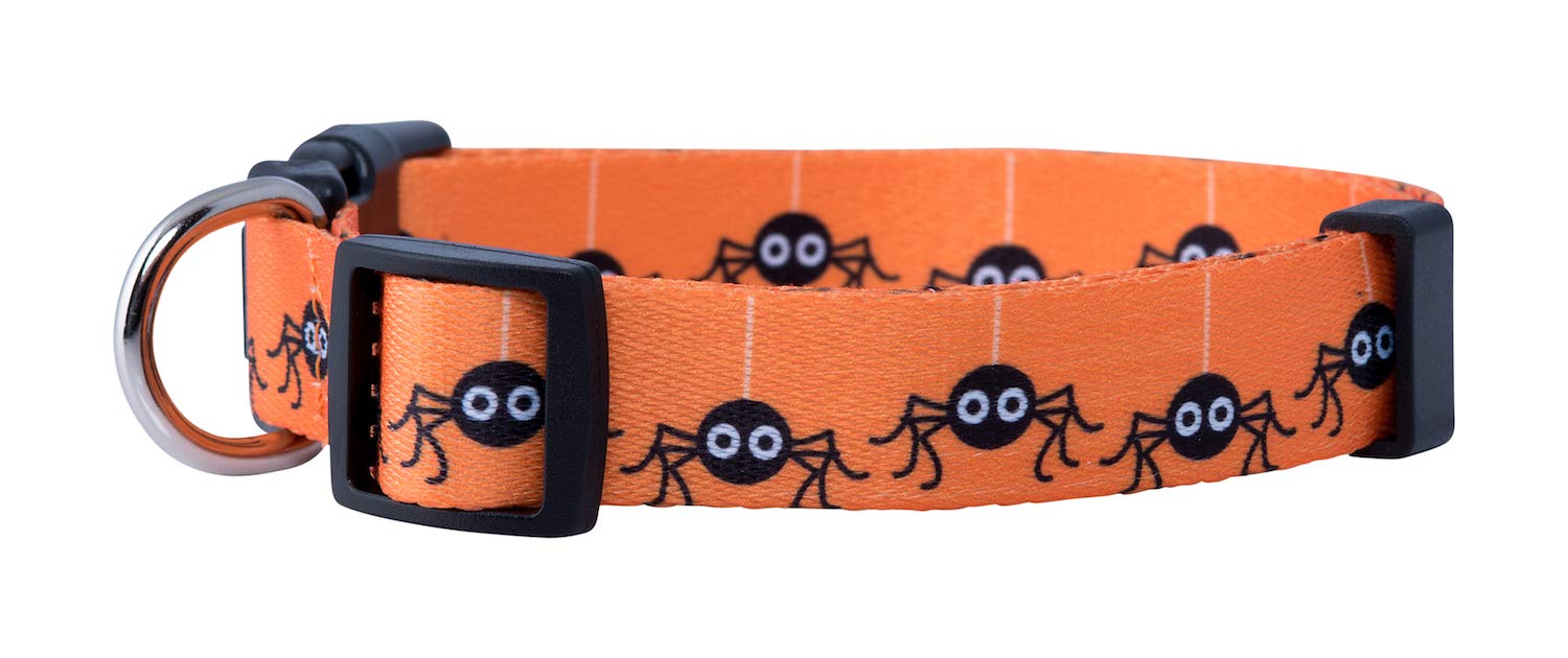 Native Pup Halloween Dog Collar (Medium, Spiders)