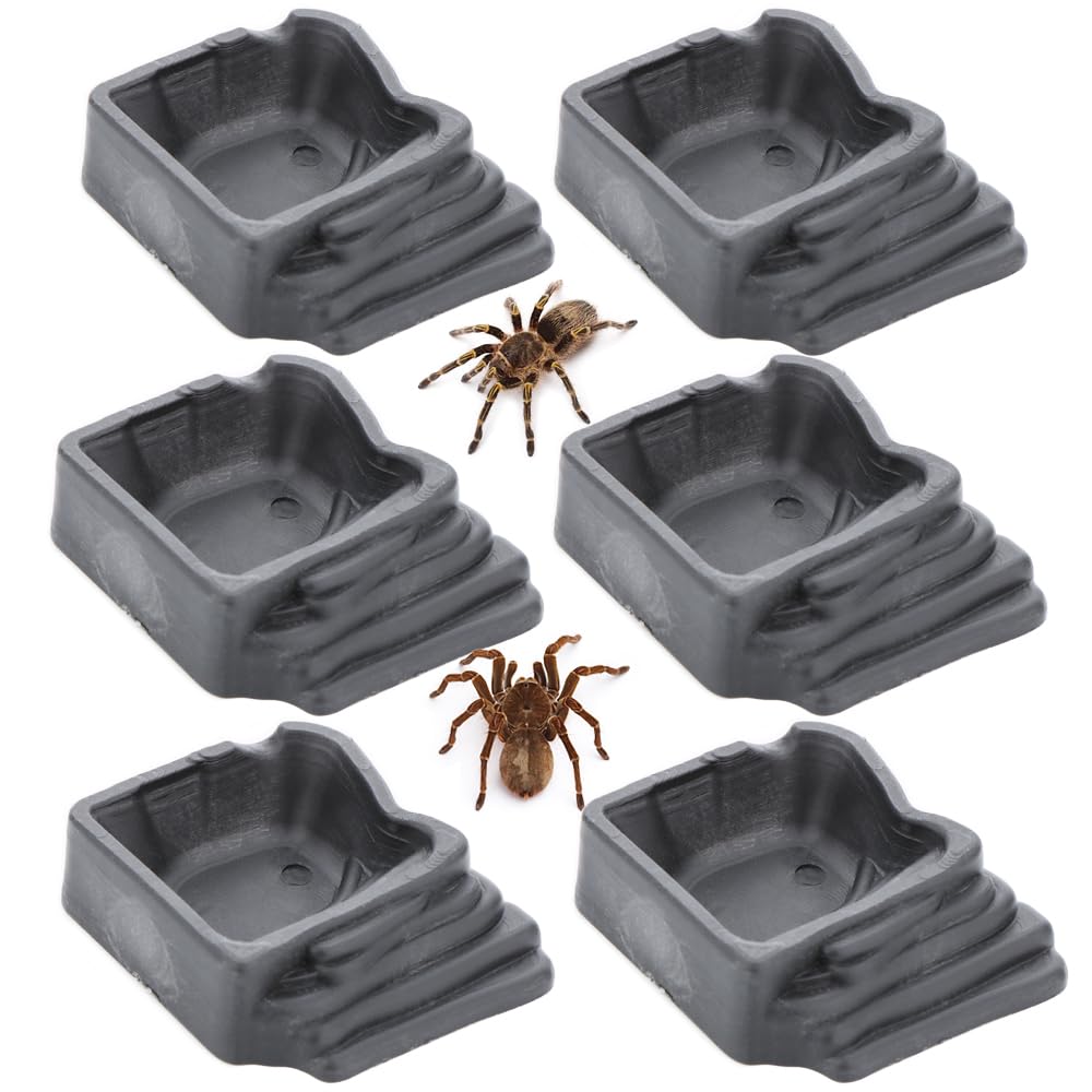 6 Pack Tarantula Water Bowl Hermit Crab Resin Dish For Reptile Tarantula Spider Millipede Insect (Large: 0.94 D, 0.47 H)