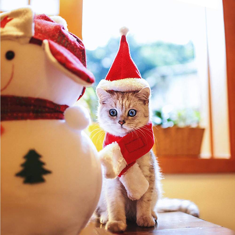 Yahpetes Dog Cat Pet Santa Hat Christmas Santa Claus 4 Pcs Pet Christmas Hat 5.5'X7.8' Dog Costume For Puppy Kitten Small Cats Dogs Pets