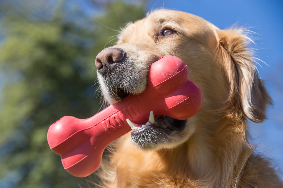 Kong Goodie Bone - Treat Dispensing Natural Rubber Bone - Red - For Large Dogs (2 Pack)