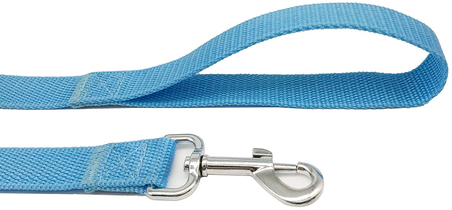 Taian 4Ft/5Ft/6Ft Strong Dog Leash, Nylon Dog Leashes For Small Medium Large Dogs (Blue, 1 In X 15 Ft)