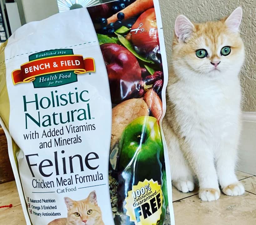 Bench & Field Holistic Natural Premium Adult Dry Cat Food, Chicken Meal and Brown Rice Recipe 3 lb Bag (Pack of 1)