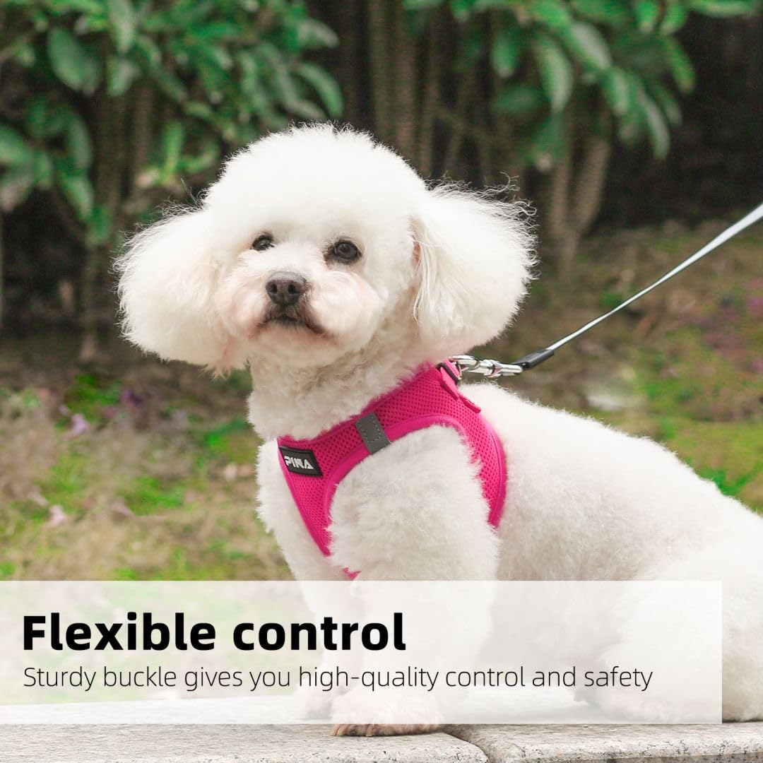 Pina Dog Harness And Leash Set For Small To Medium Dogs - No Pull, No Choke, Breathable Mesh Vest - Lightweight, Adjustable, Eas