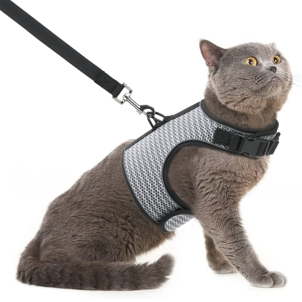Pupteck Soft Mesh Cat Vest Harness And Leash Set Puppy Padded Pet Harnesses Escape Proof For Cats Small Dogs