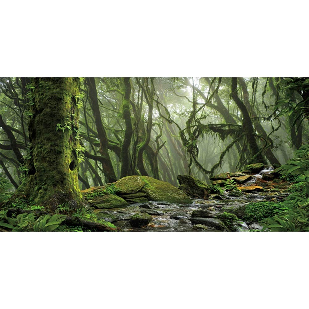 Awert Foggy Forest Terrarium Background Stream Green Huge Tree Reptile Habitat Background Tropical Rainforest Aquarium Background 48X24 Inches Durable Polyester Background