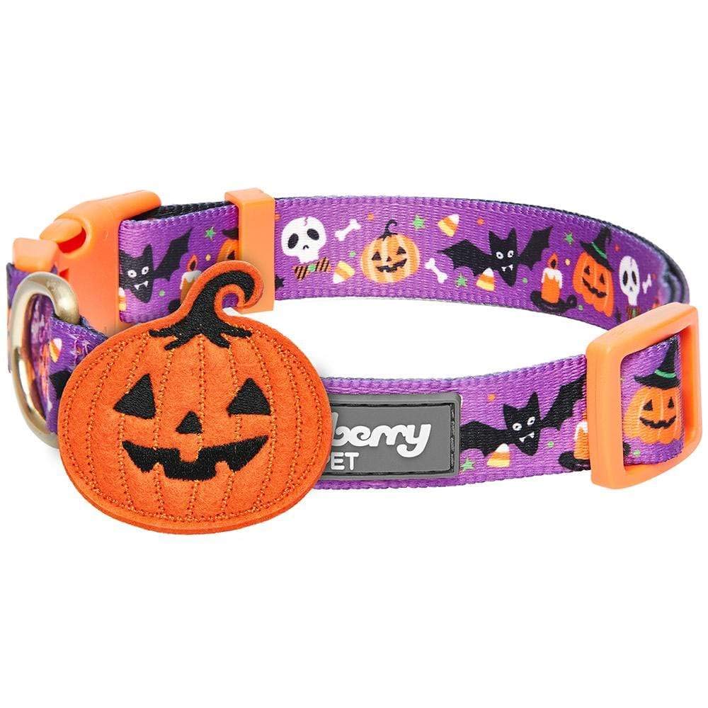 Blueberry Pet 8 Patterns Halloween Pumpkin Party Designer Adjustable Dog Collar with Detachable Decoration, Medium, Neck 14.5''-