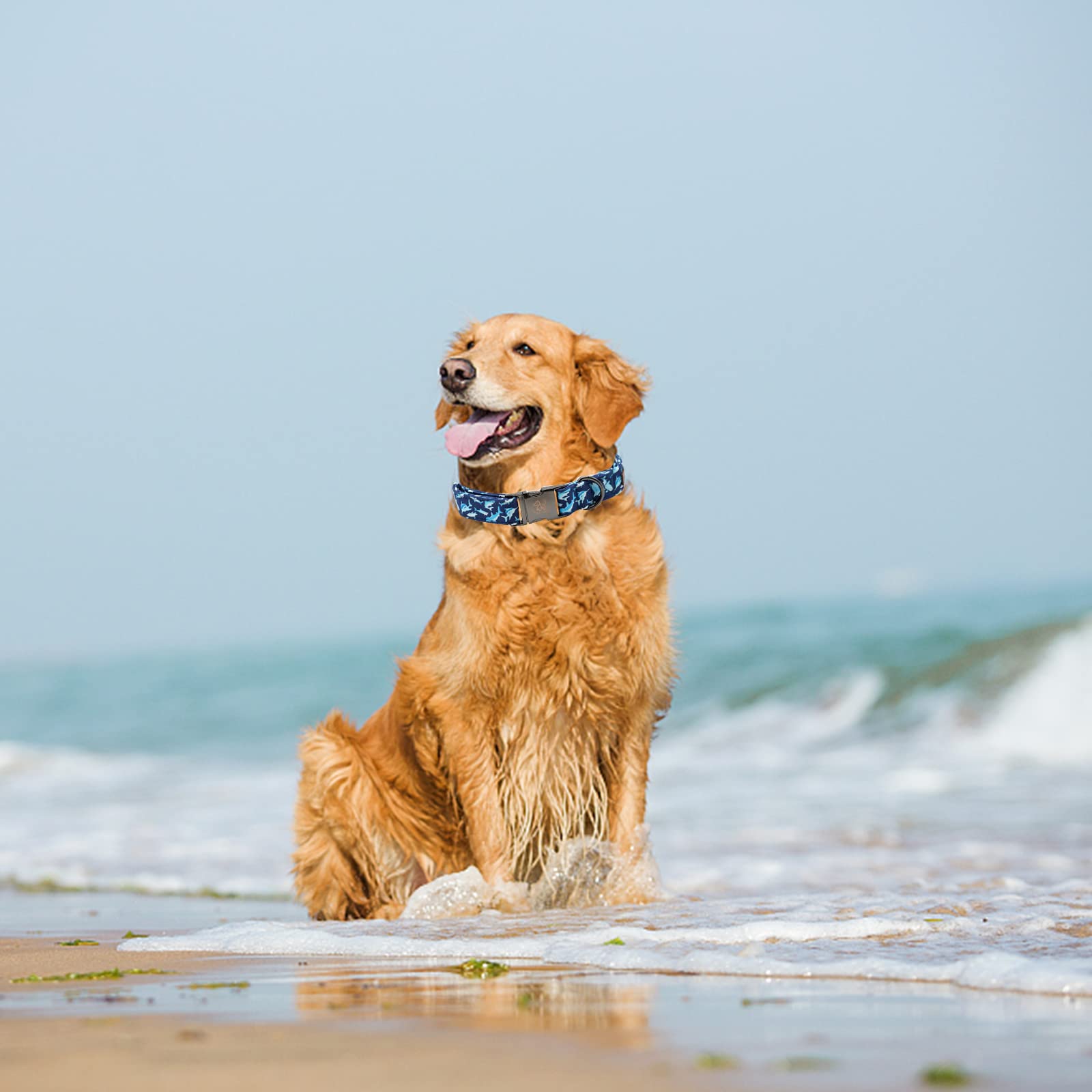 Elegant Little Tail Dog Collar, Blue Shark Pattern Pet Collar Durable Cute Dog Collars Male Or Female Pet Gift Adjustable Dog Co