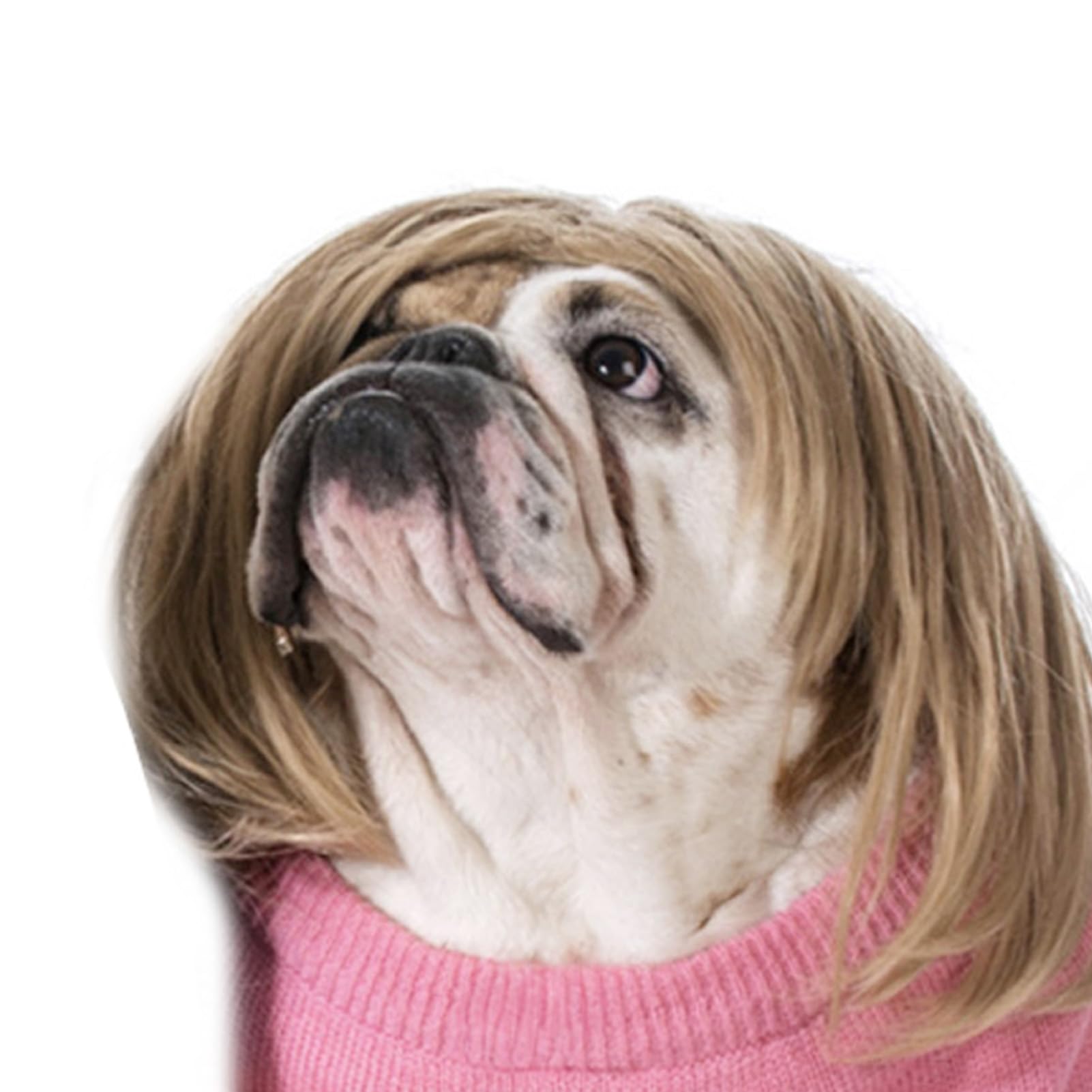 Funny Cosplay Wig For Dog, Headwear Apparel, Pet Costumes, Cat Dress Up For Halloween, Christmas, Parties, Festivals (Golden Str