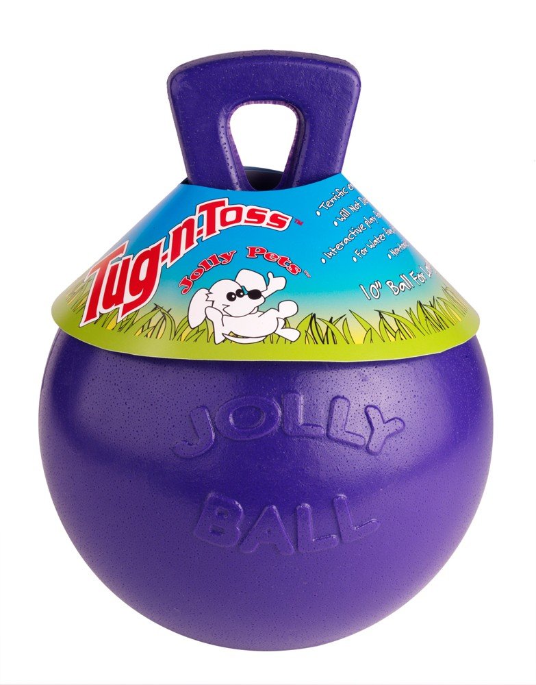 Jolly Pets 2 Pack Of Tug-N-Toss Heavy Duty Chew Ball With Handle, Purple, 6-Inch