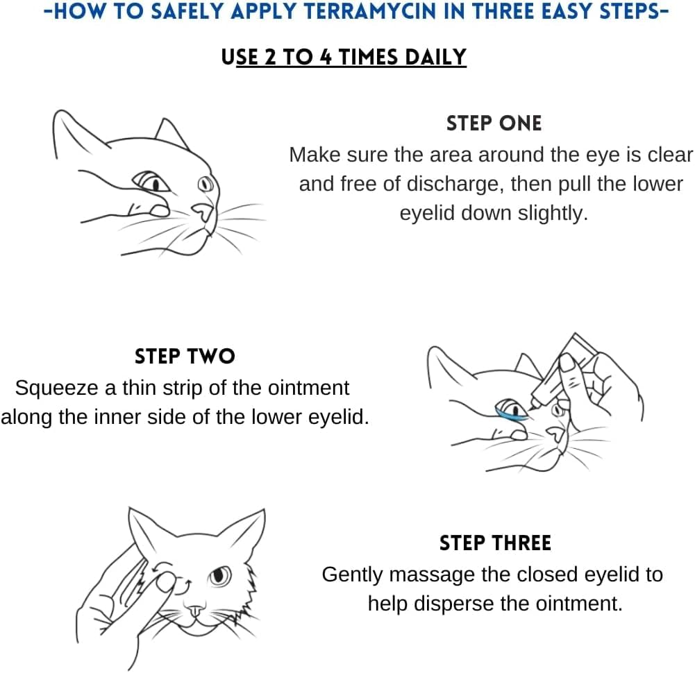 PassionBox Eye Health for Dogs, Cats, Cattle, Sheep, Horse, Bird 1/8 oz /3.5gr - 1 pcs Tube+Metal Box