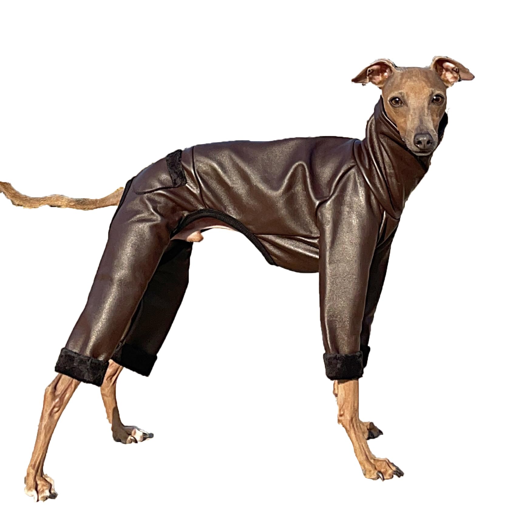 D Doggy Star Italian Greyhound Coat Stretchable Aartificial Leather Fleece Lining Clothes Whippet For Dog (M,Leather Brown)