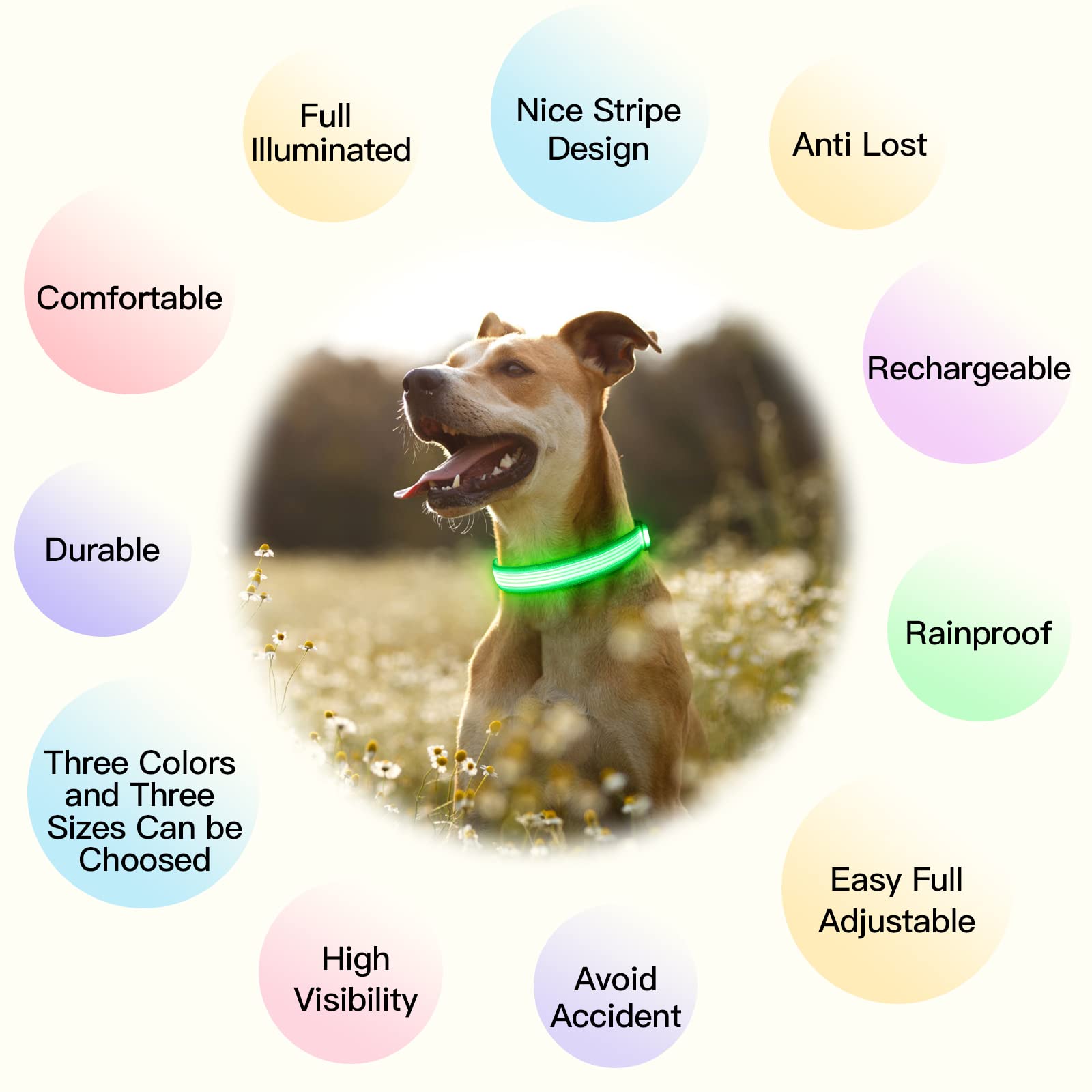 Yfbrite Light Up Dog Collar, Full Adjustable Rechargeable Led Dog Collar, Full Illuminated Dog Collar Light, Bright Dog Collar S