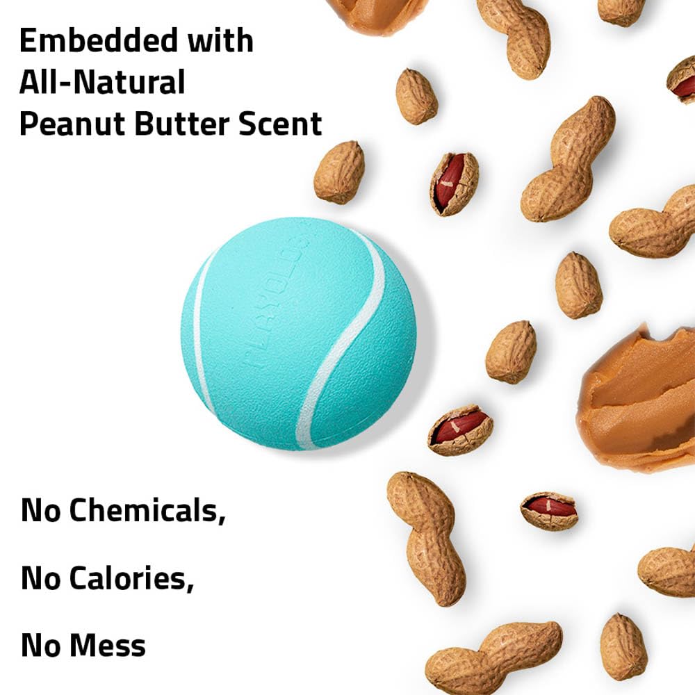 Playology Squeaky Chew Ball Dog Toy for Small Dogs - 3-Pack, Heavy Chewer, Peanut Butter Scented, Non-Toxic Materials