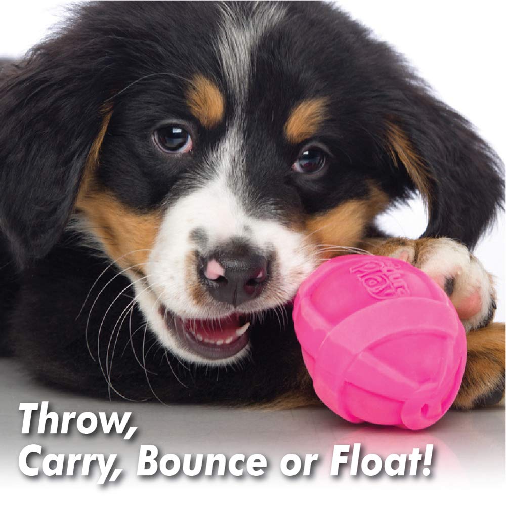 Hartz Dura Play Bacon Scented Rocket Dog Toy, Small , 1 Count