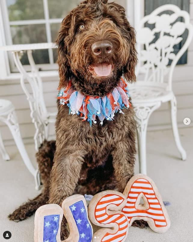 Midlee 4Th Of July Decorative Dog Bell Collar (Large)
