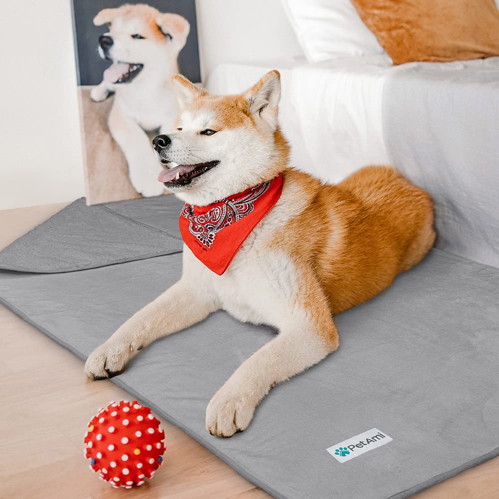 Petami Waterproof Dog Blanket For Medium Large Dogs, Pee Proof Pet Blanket Sherpa Fleece Couch Cover, Reversible Cat Throw Bed Sofa Protector, Soft Plush Washable Pad (Large 40X60, Light Gray)