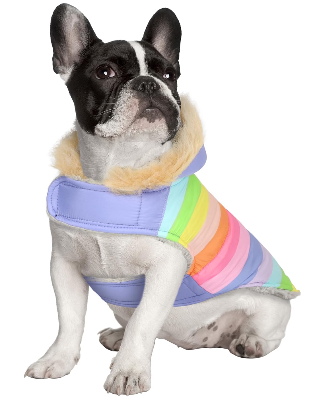 Hde Dog Puffer Jacket Fleece Lined Warm Dog Parka Winter Coat With Harness Hole Pastel Rainbow - S