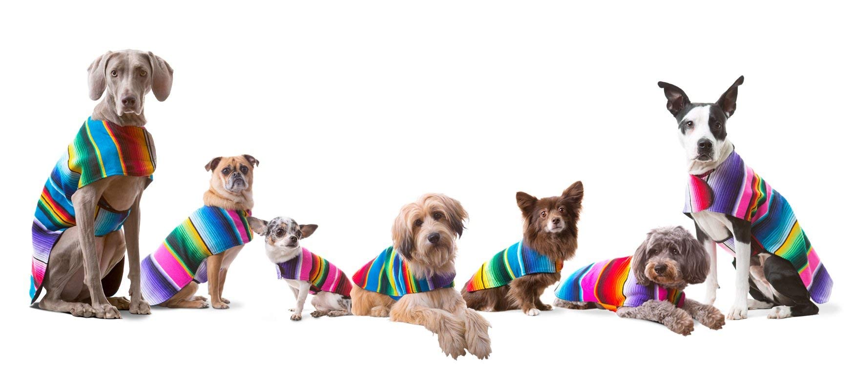 Dog Clothes - Handmade Dog Poncho from Authentic Mexican Blanket by Baja Ponchos (Blue, X-Large)