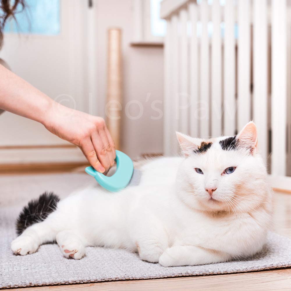 Leo's Paw Pet Hair Removal Massaging Shell Comb - Soft Deshedding Brush for Cats, Dogs, Puppies, Bunnies - Mint, 1 Count