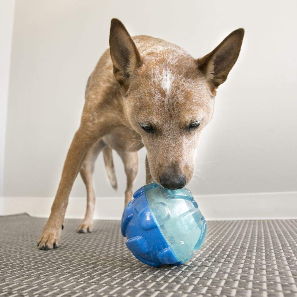 KONG Rewards Ball - Ultra Durable Treat Dispensing Toy for Large Dogs - Multi Color - Plastic