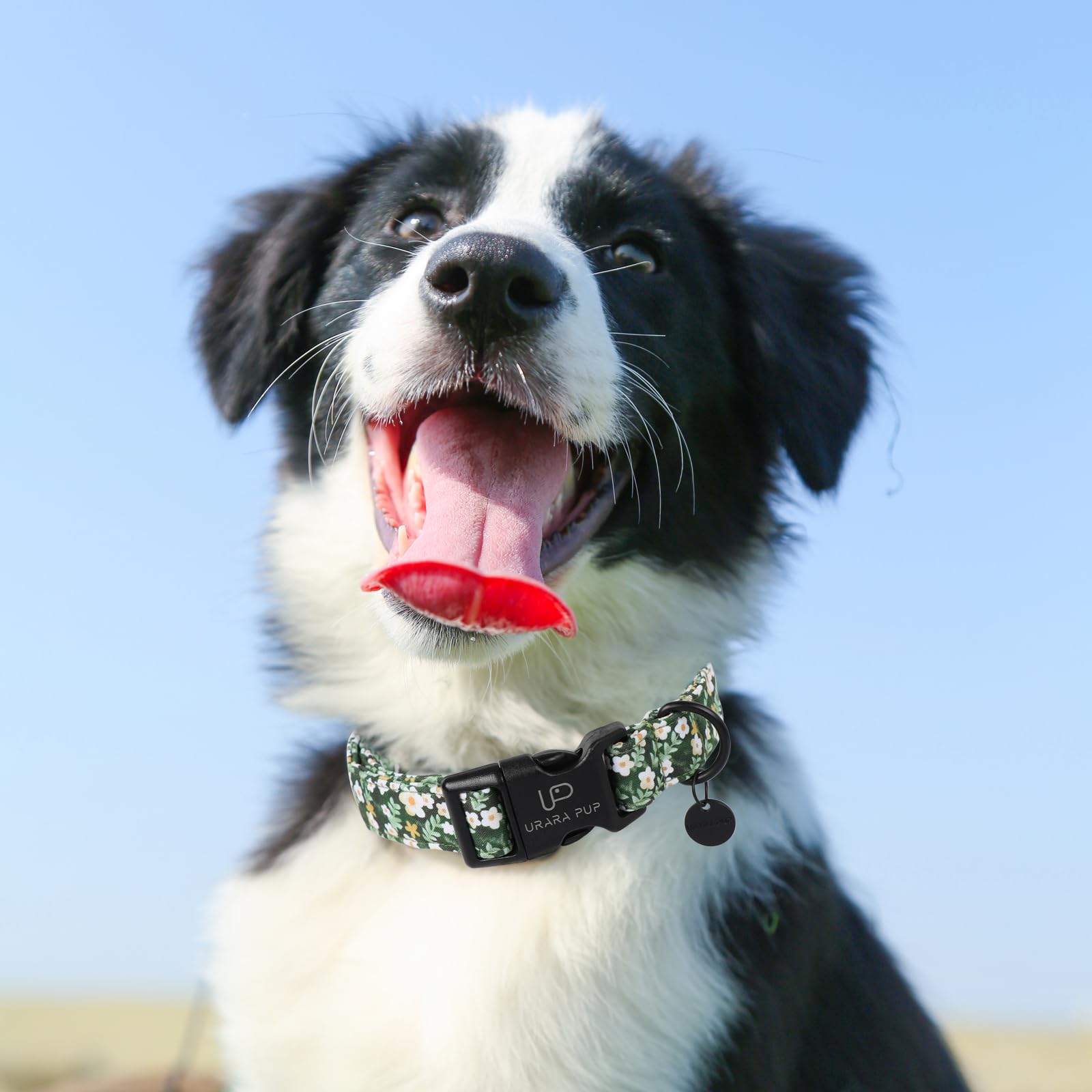 Up Urara Pup Summer Dog Collar, Flower Print Dog Collar With Adjustable Plastic Buckle, Lightweight Cute Pet Collar, Ideal Gift
