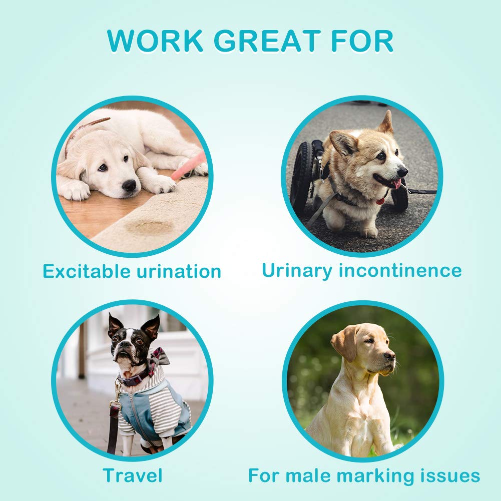 Flying Paws Male Dog Diapers - Absorbent Belly Bands for Incontinence, Medium, Pack of 44
