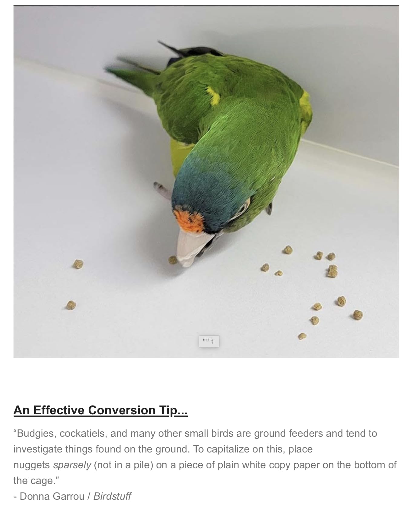 Harrisons Bird Foods High Potency Fine 1lb Certified Organic Non-GMO Formula