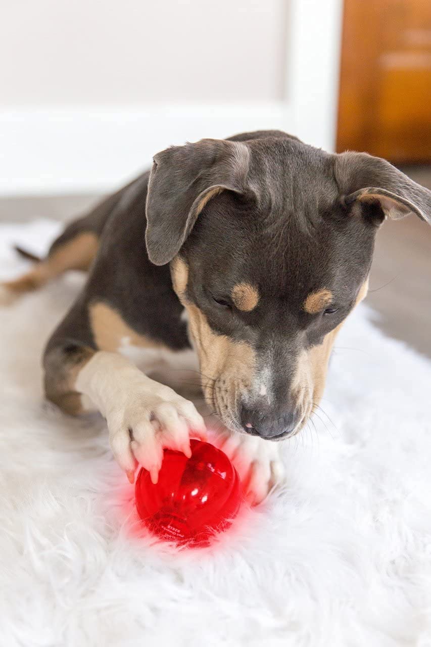 Pet Qwerks Blinky Babble Ball - Flashing Interactive Chew Dog Toy - Medium