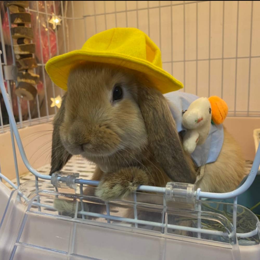 Aniac Funny Cat Hat For Cat Xxs Dog Sun Hat With Ears Hole Rabbit Outfit For Bunny Mini Sombrero Puppy Hat Party Costume Head Ac