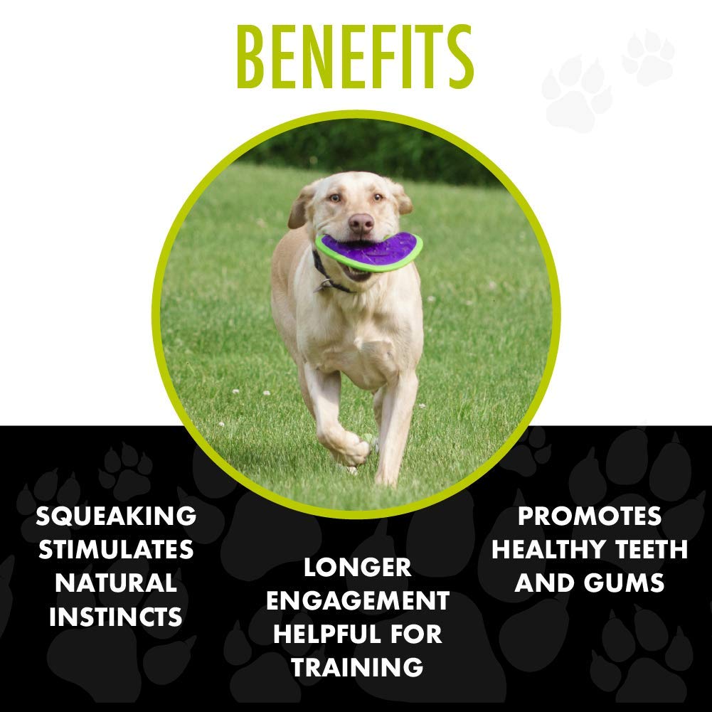 Hero | Outer Armor Boomerang Dog Toy | Dog Chew Toy | Dog Toys | Puppy Toys | Pet Toys | Designed For Medium To Large Sized Dogs From 45-65 Lbs | Purple