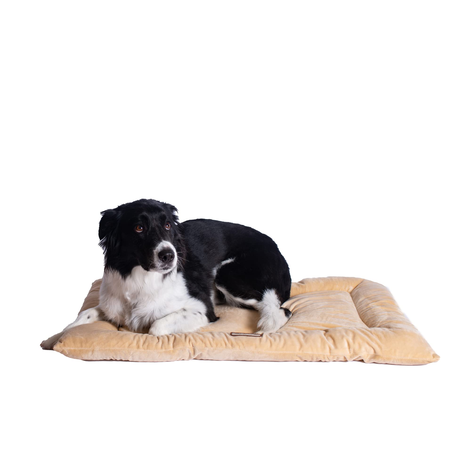 Armarkat Pet Bed Mat 35-Inch by 22-Inch by 3-Inch M01-Large, Beige