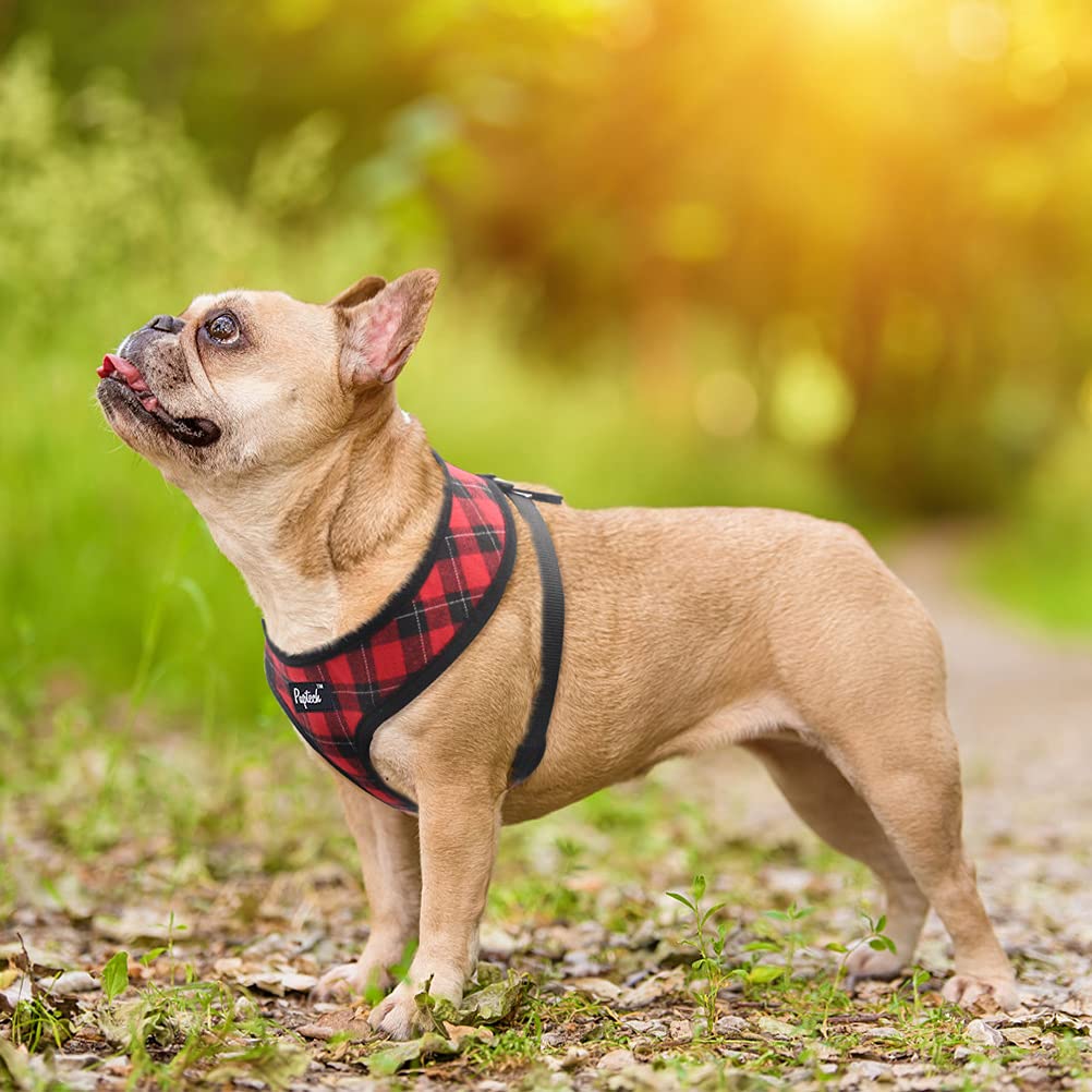 Pupteck Soft Mesh Dog Harness And Leash Set Pet Puppy Cat Comfort Padded Vest No Pull Harnesses, Red&Black, S