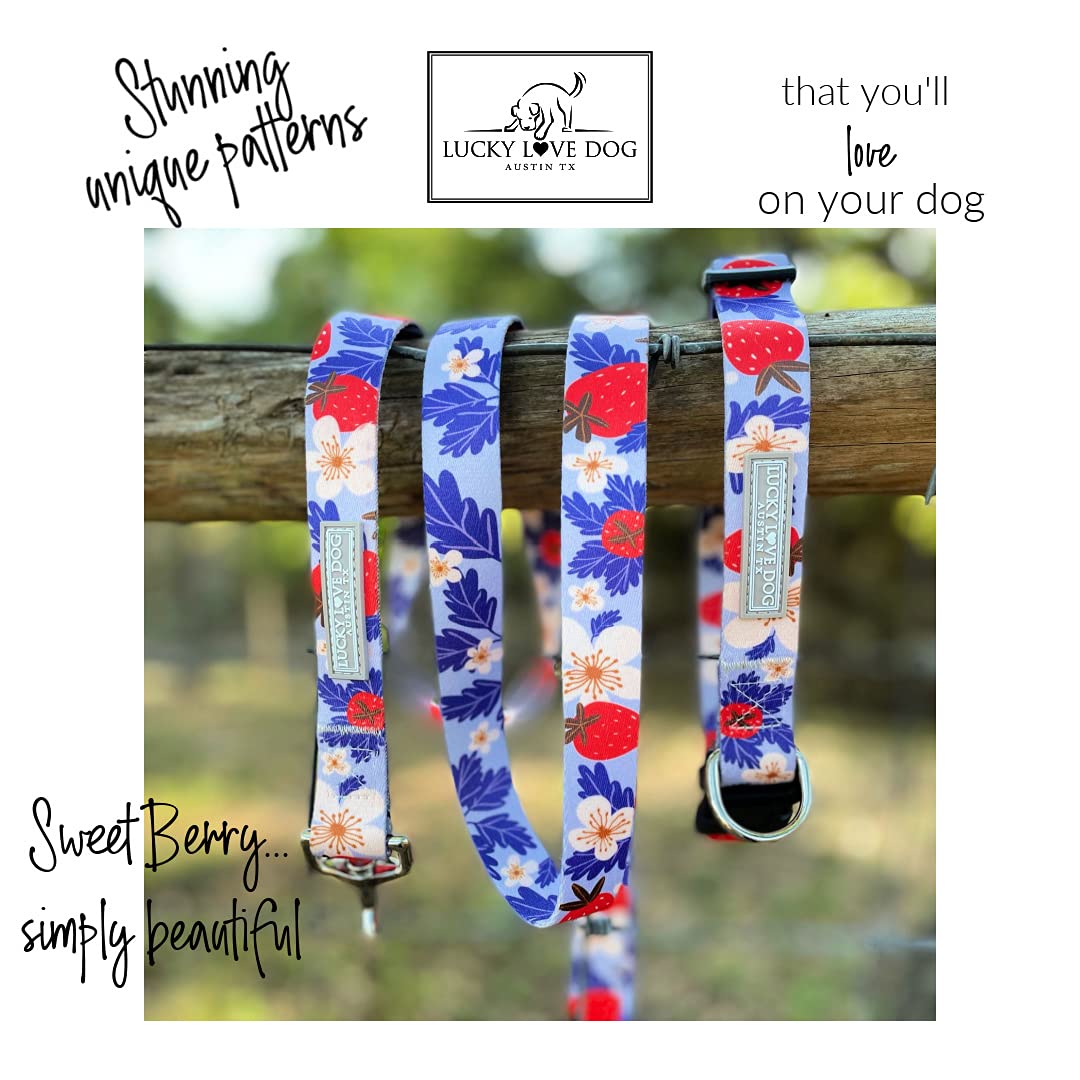 Lucky Love Dog Martingale Collar, Premium Fun Girl No Slip Collars, Strawberry Martingale Large Dog Collar, Great For Whippets,
