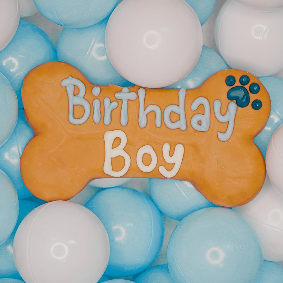 Wufers Dog Birthday Cookie Box - Dog Cookies, Human Grade Ingredients, Cute Hand Decorated and Gentle for Tummies of All Breed S