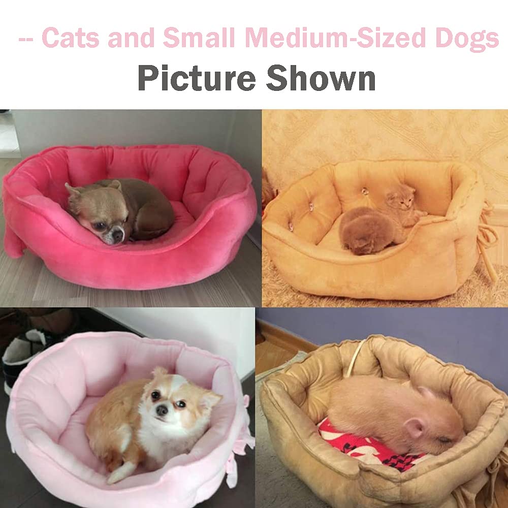 Pawstrip Cute Princess Dog Bed, Soft Breathable Bowknot Pet Cat Cushion For Small Dogs, Waterproof Bottom, Self-Warming, Machine Washable (Fuchsia)