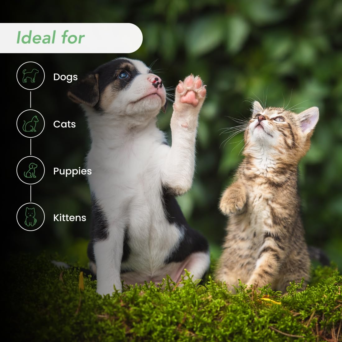 Best Shot Ultra Dirty Plenish Conditioner, Ideal Pet Grooming Conditioner, Protein-Enriched Moisturizing Conditioner For Any Dog, Cat, Or Horse, Agree Fragrance, 16 Oz.