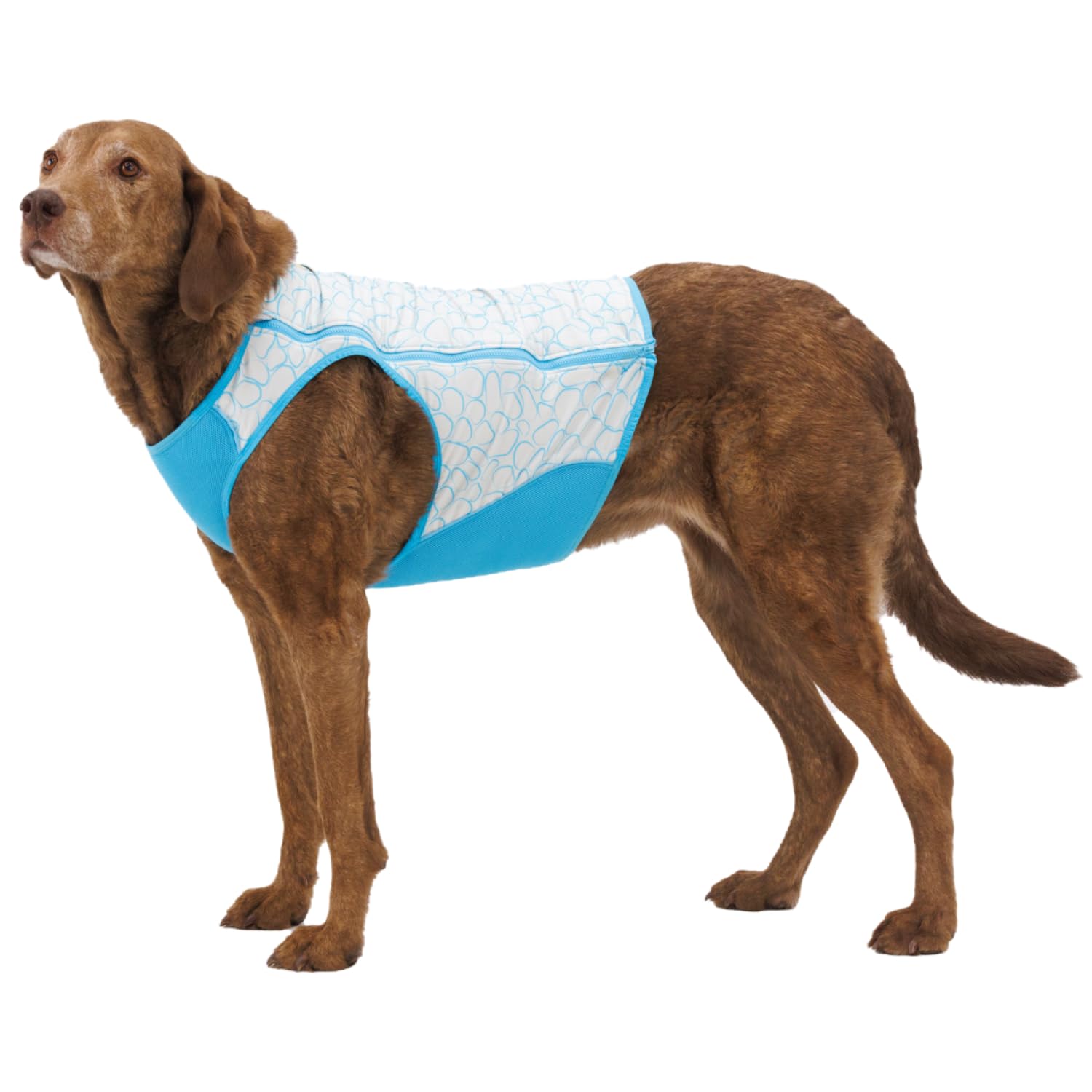 Ruffwear, Swamp Cooler Zip Dog Vest, Evaporative Cooling For Hot Weather, Biolumin Blue, X-Small