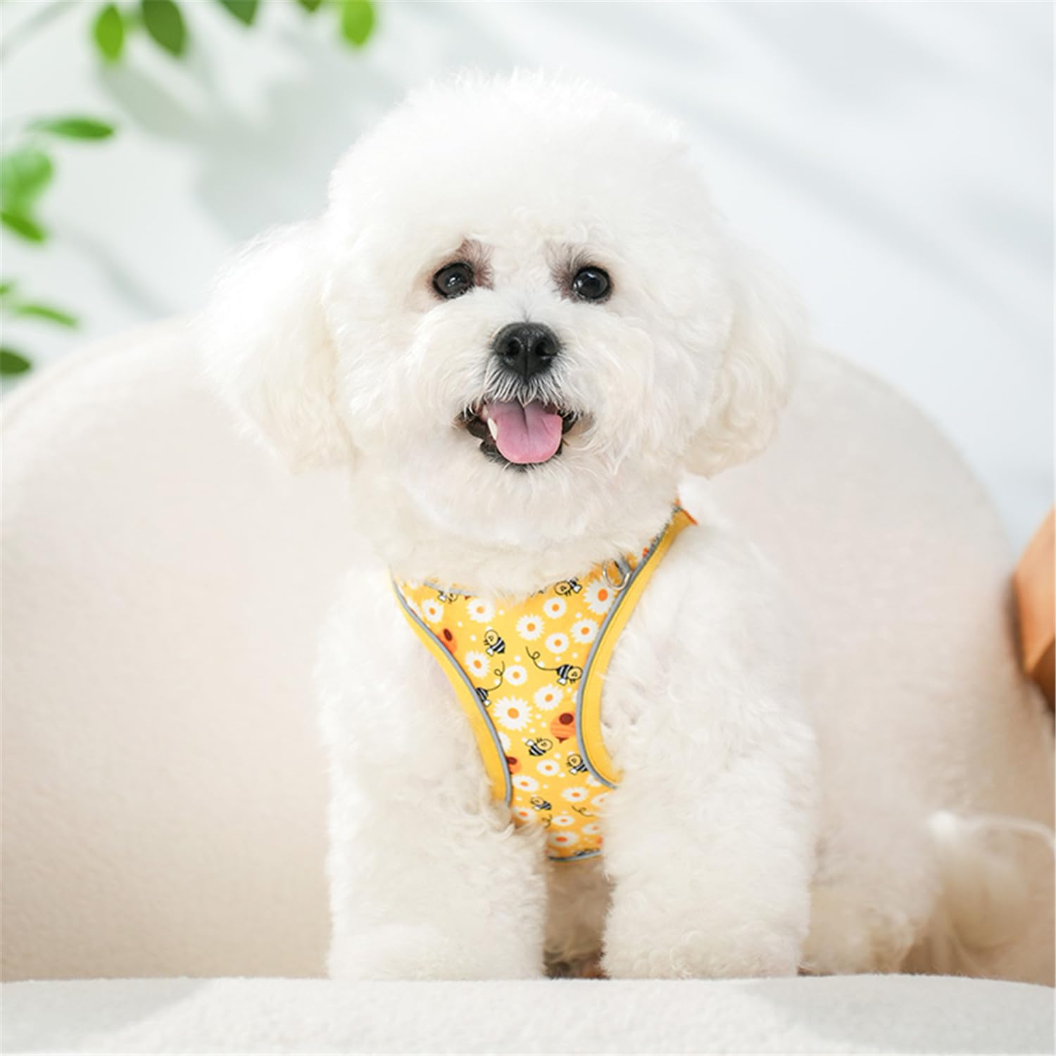 KocaPlye Step in Dog Harness No Pull Honeybee Adjustable Soft Mesh Padded Reflective Pet Vest Harness and Leash Set for Small Me