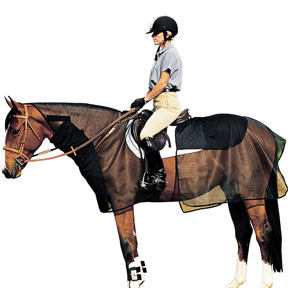 Cashel Quiet Ride Horse Bug Armor Bundle Set
