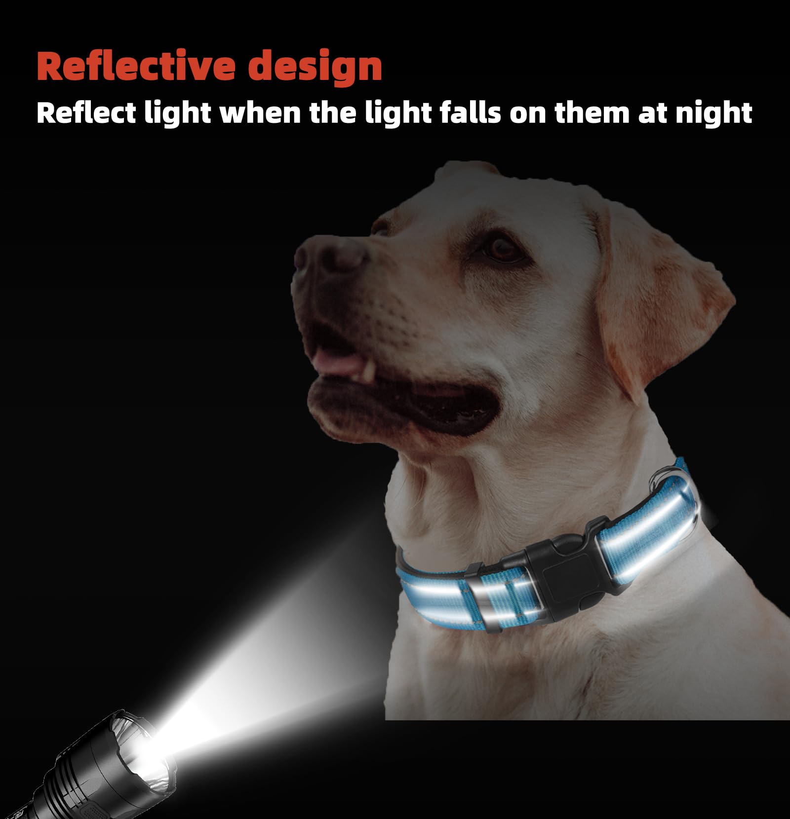 Blue Dog Collar, Reflective Pet Collar with Buckle Adjustable Safety Nylon Collars for Small Medium Large Dogs, XL