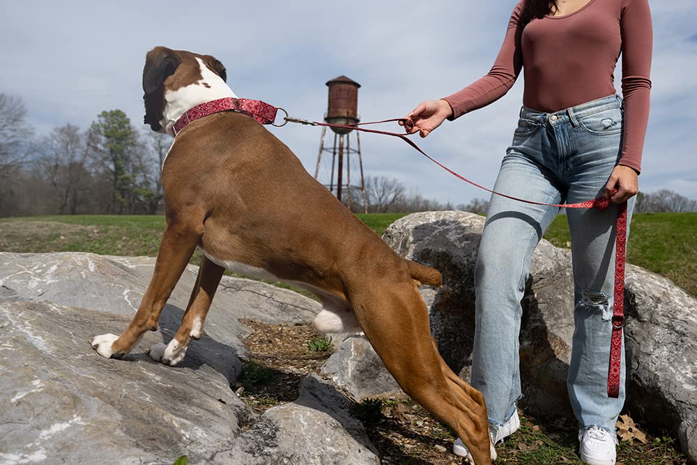 Country Brook Petz - Red Bandana Martingale Dog Collar - Country And Western Collection Featuring Rustic Designs (1 Inch, Medium