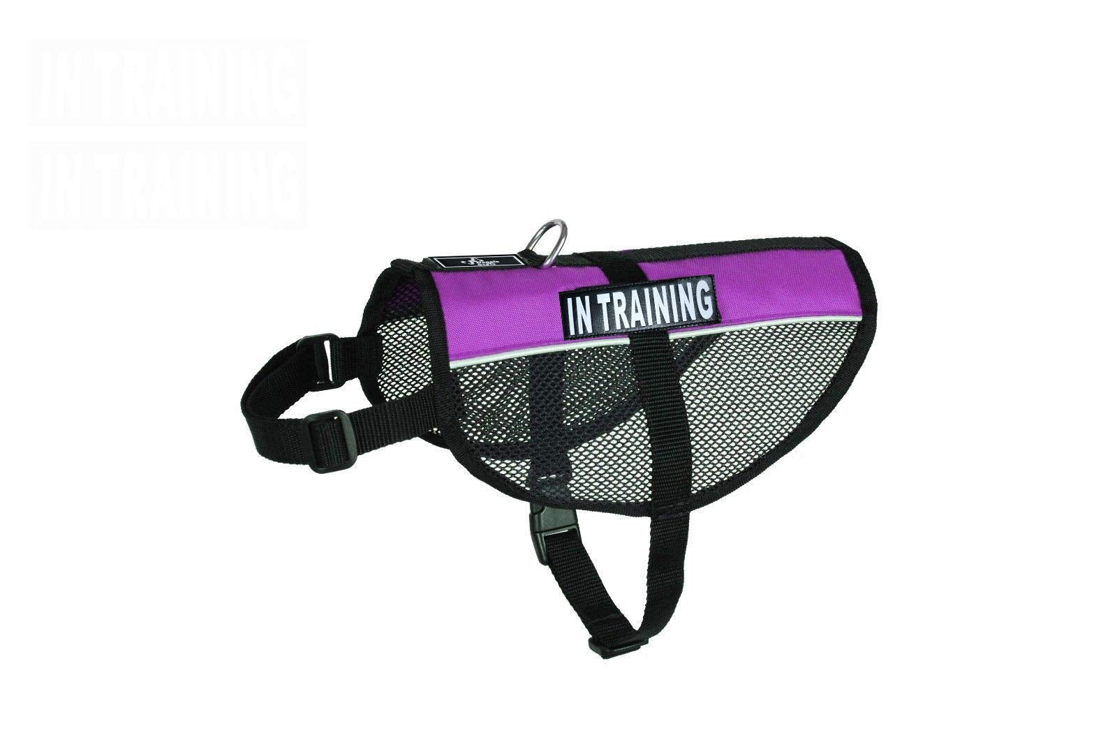 In Training Service Dog Mesh Vest Harness Cool Comfort Nylon For Dogs Small Medium Large Purchase Comes With 2 Reflective In Training Removable Patches (Girth 21-24', Purple)