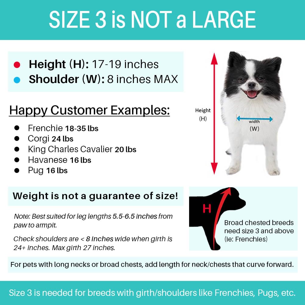 Pandaloon Dog Halloween Costume - Funny Panda Outfit for Small/Medium Dogs & Cats, Size 3 (17-19 in Height, Girth <22 in)