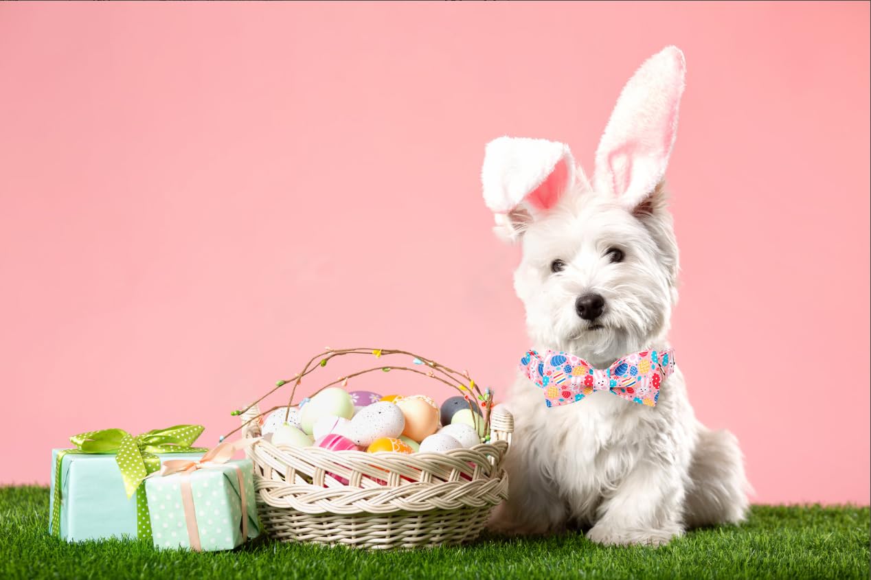 Lionet Paws Easter Dog Collar With Bowtie, Pink Dog Bowtie Collar With Metal Buckle,Rabbit Colorful Egg Bow Tie For Dogs,S, Neck